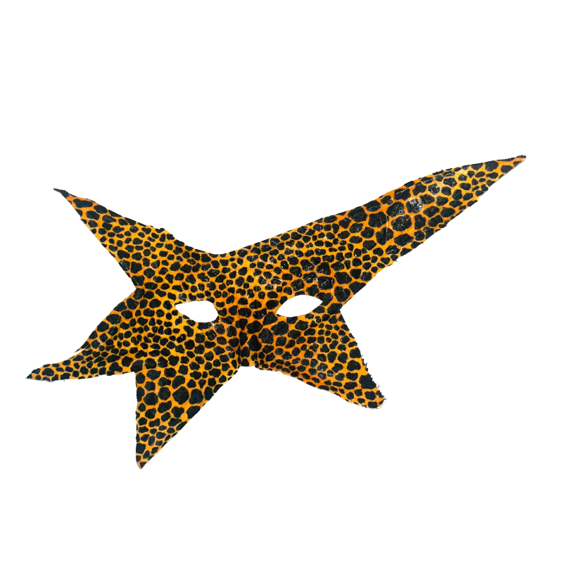 Spinning Star